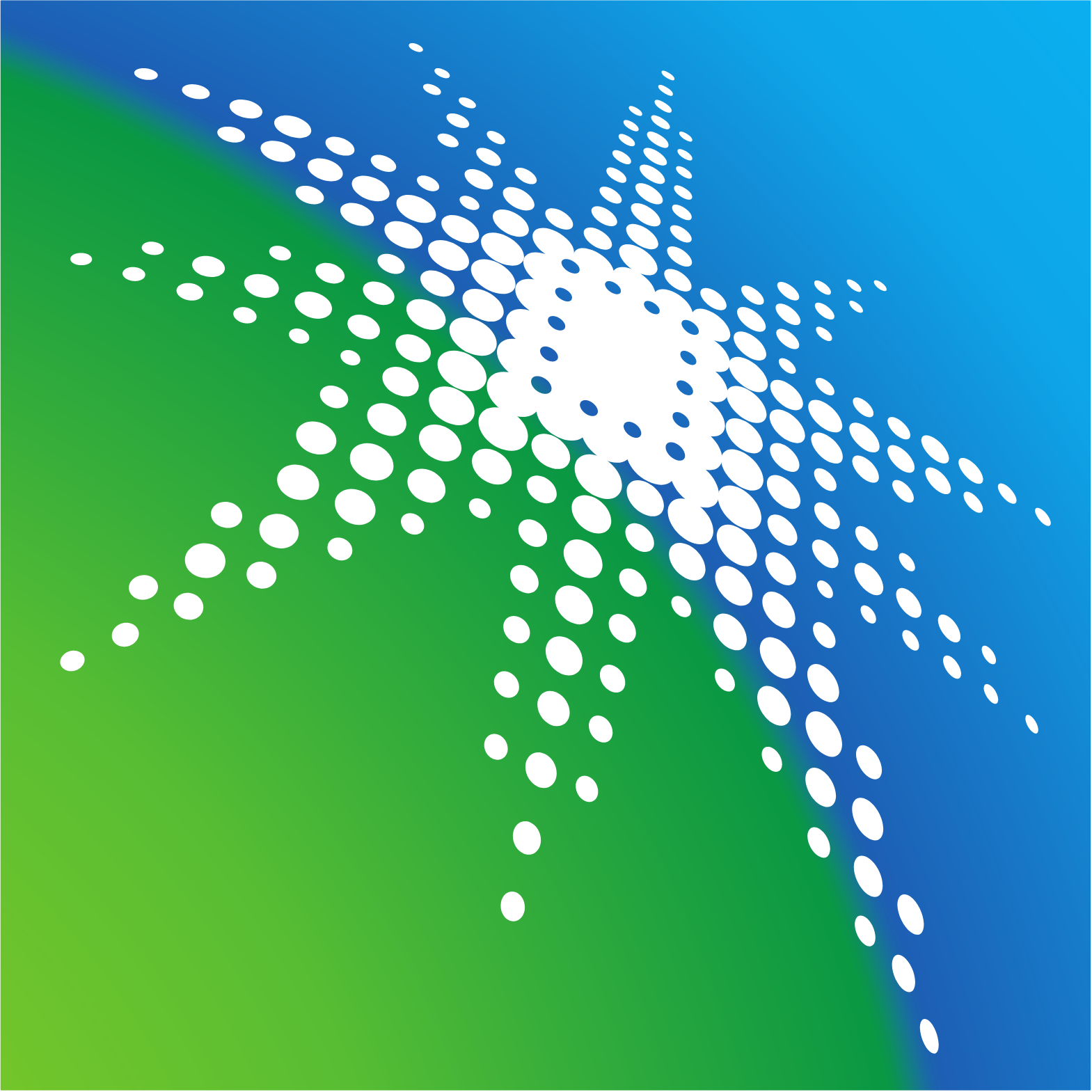 Saudi Aramco logo (PNG transparent)