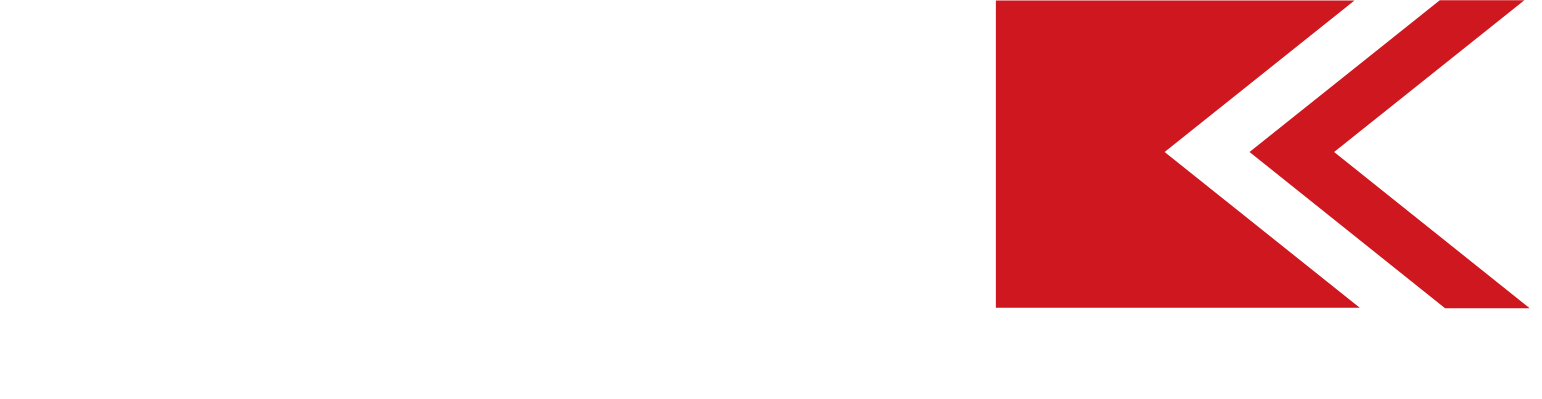 Saudi Chemical Holding Company logo large for dark backgrounds (transparent PNG)
