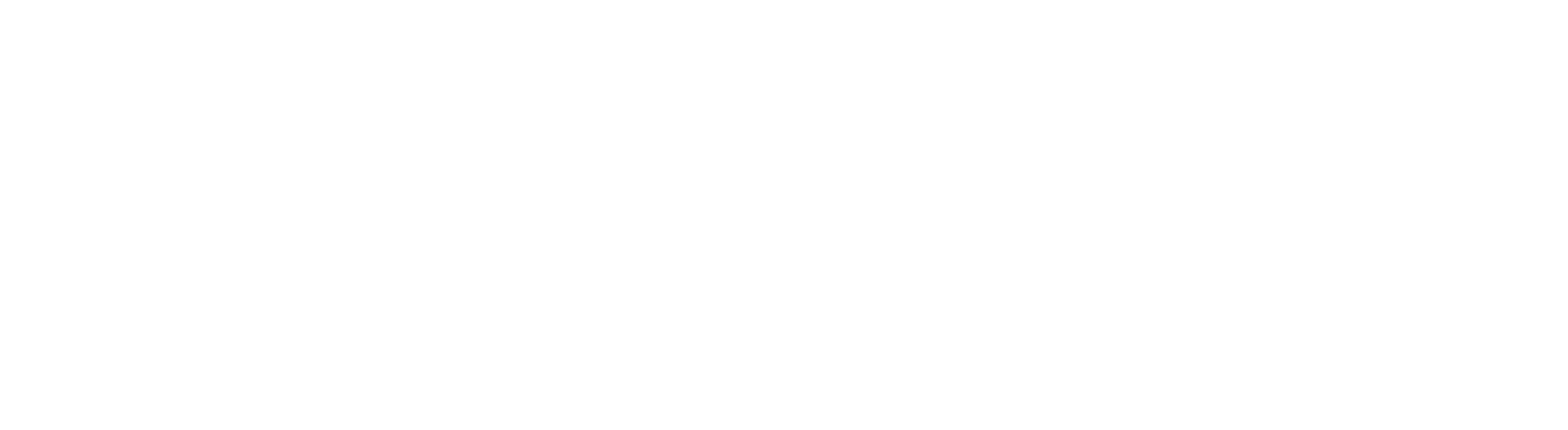 Li Ning Company logo for dark backgrounds (transparent PNG)