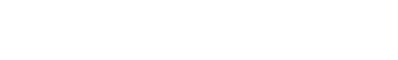 Synnex Technology International logo large for dark backgrounds (transparent PNG)