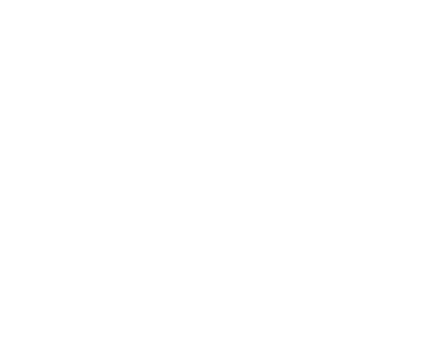 Eagle Nice Logo groß für dunkle Hintergründe (transparentes PNG)