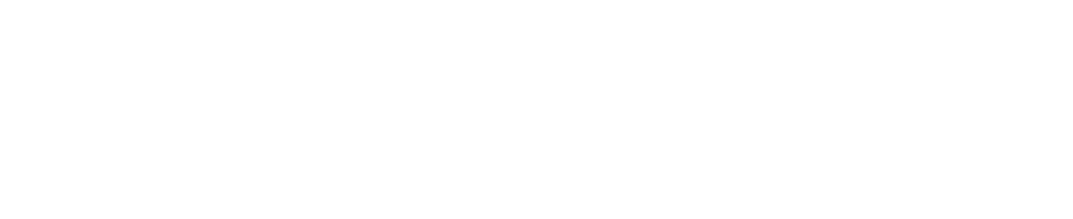 Realtek
 logo large for dark backgrounds (transparent PNG)