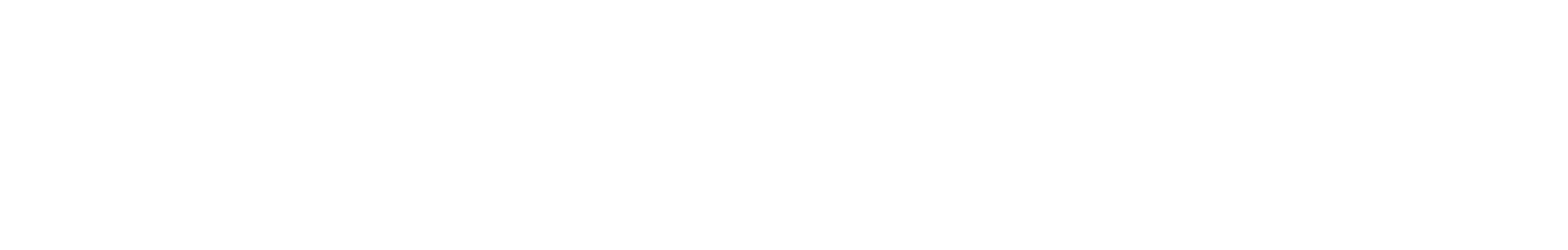 SBS Holdings Logo groß für dunkle Hintergründe (transparentes PNG)