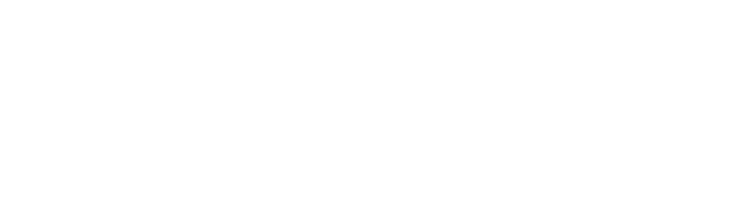 Chicony Electronics logo fulle size on a dark background (transparent PNG)