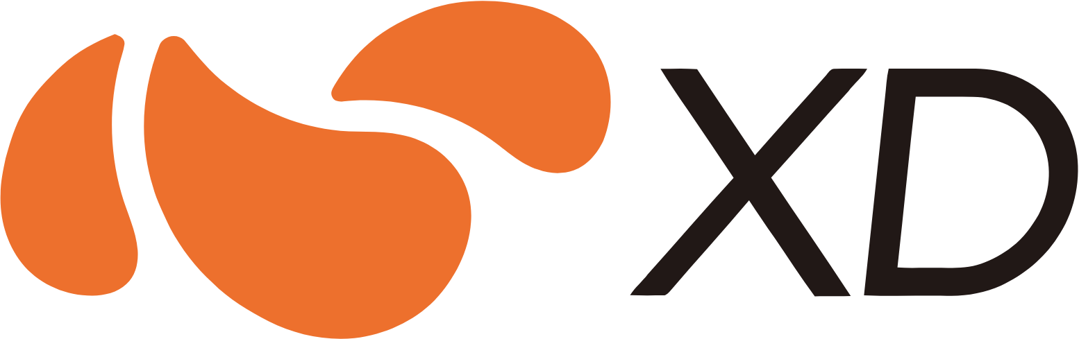 Xd logo letter monogram slash with modern Vector Image