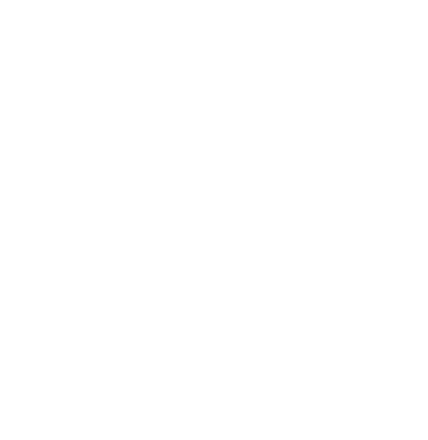 Ecopro BM logo for dark backgrounds (transparent PNG)
