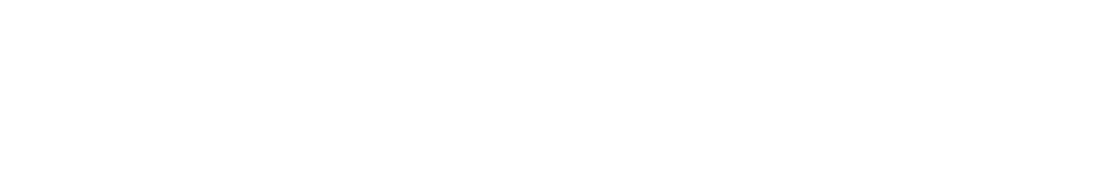 Wan Hai Lines logo fulle size on a dark background (transparent PNG)