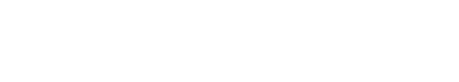 BGF Retail Logo groß für dunkle Hintergründe (transparentes PNG)