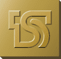 Taishin Financial Holdings
 logo (PNG transparent)