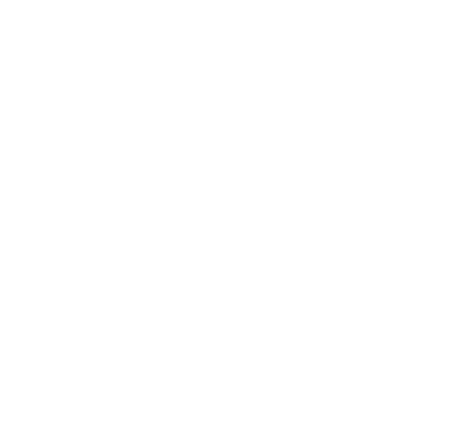 First Financial Holding logo pour fonds sombres (PNG transparent)