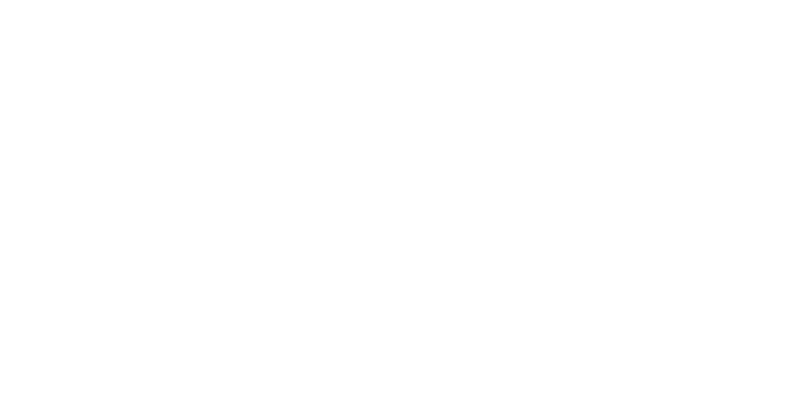 Nissin Foods
 logo pour fonds sombres (PNG transparent)