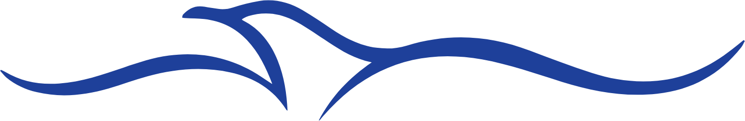 Air Busan
 logo (transparent PNG)