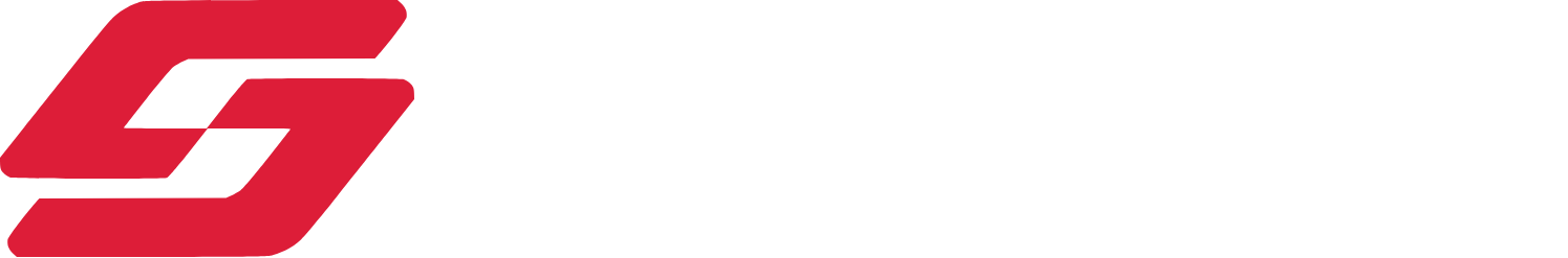 Hangzhou Shunwang Technology logo grand pour les fonds sombres (PNG transparent)