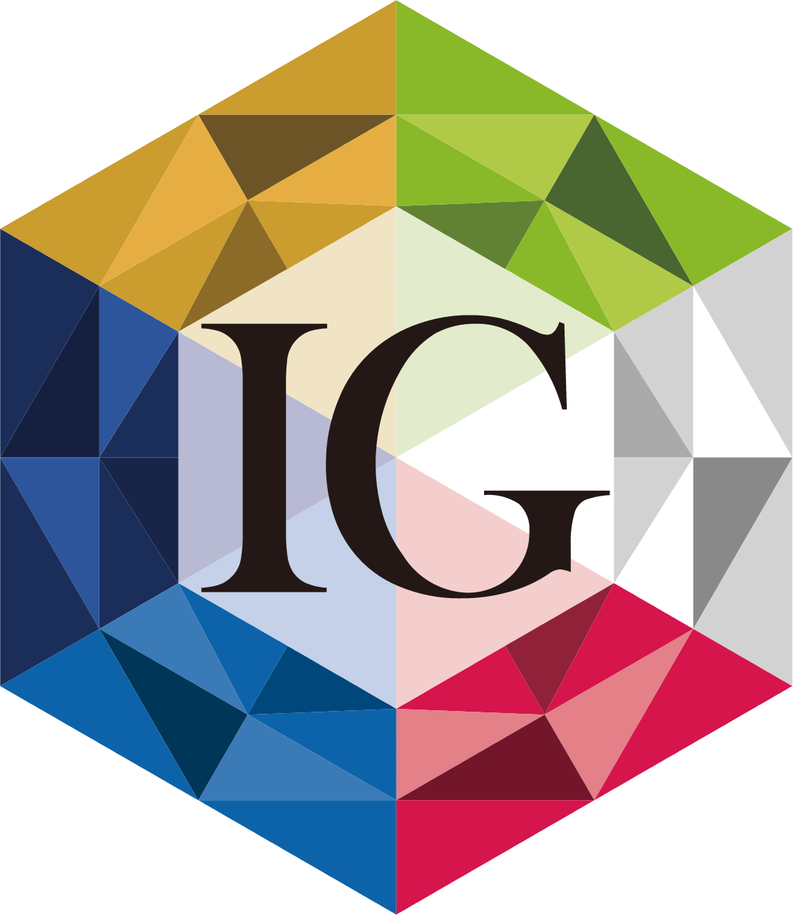 Iida Group logo (transparent PNG)