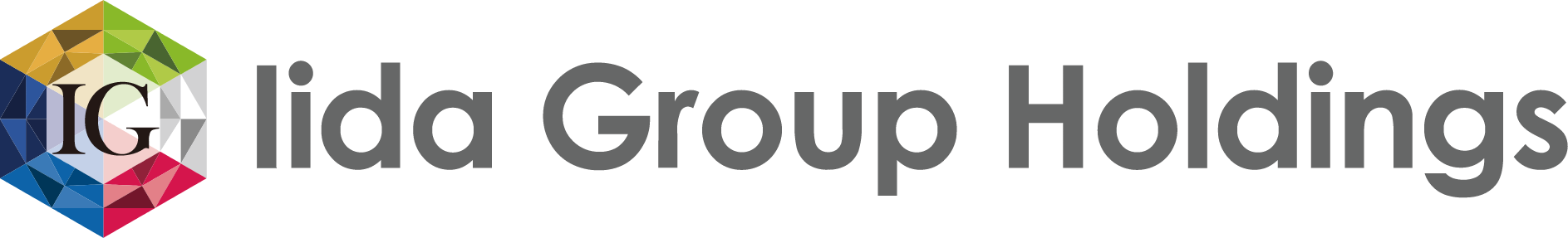 Iida Group logo large (transparent PNG)