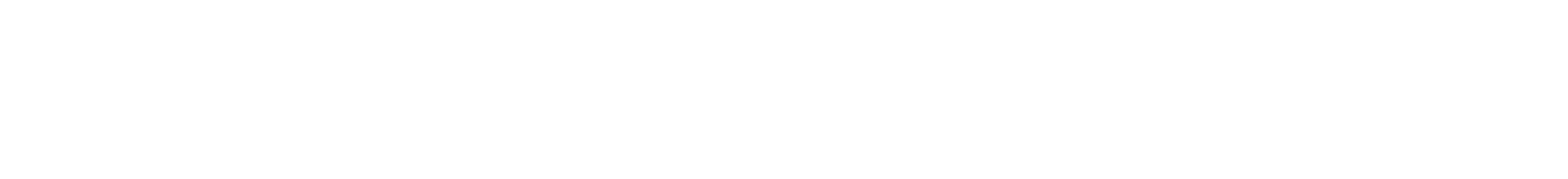 TORIDOLL Holdings Corporation Logo groß für dunkle Hintergründe (transparentes PNG)