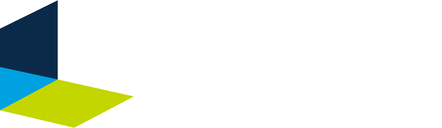 Nexon Logo groß für dunkle Hintergründe (transparentes PNG)