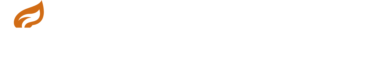 Silicon Studio Logo groß für dunkle Hintergründe (transparentes PNG)