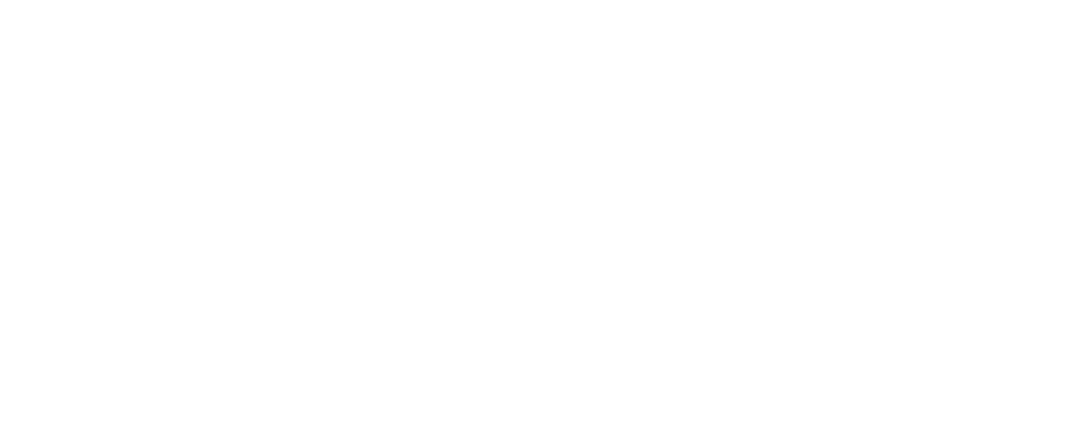 Bosideng logo for dark backgrounds (transparent PNG)