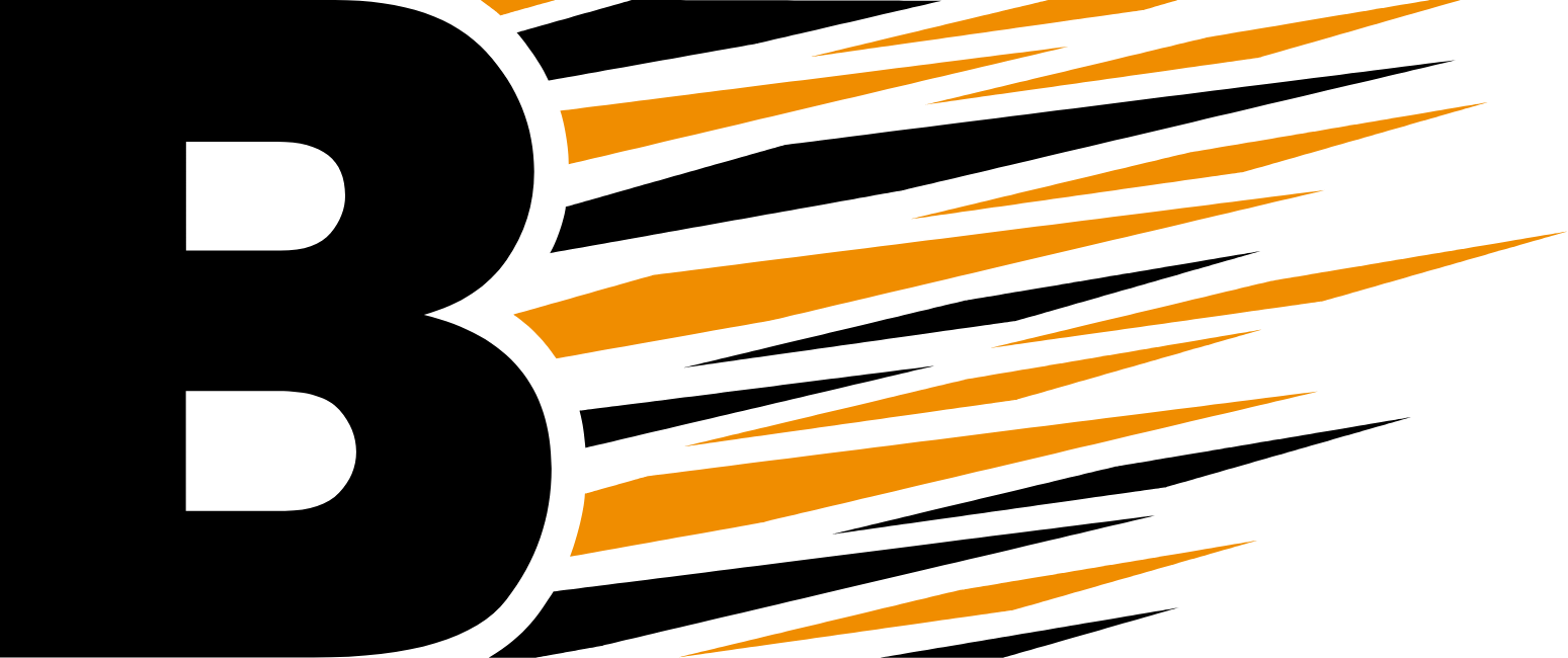 Bahnhof AB logo (transparent PNG)