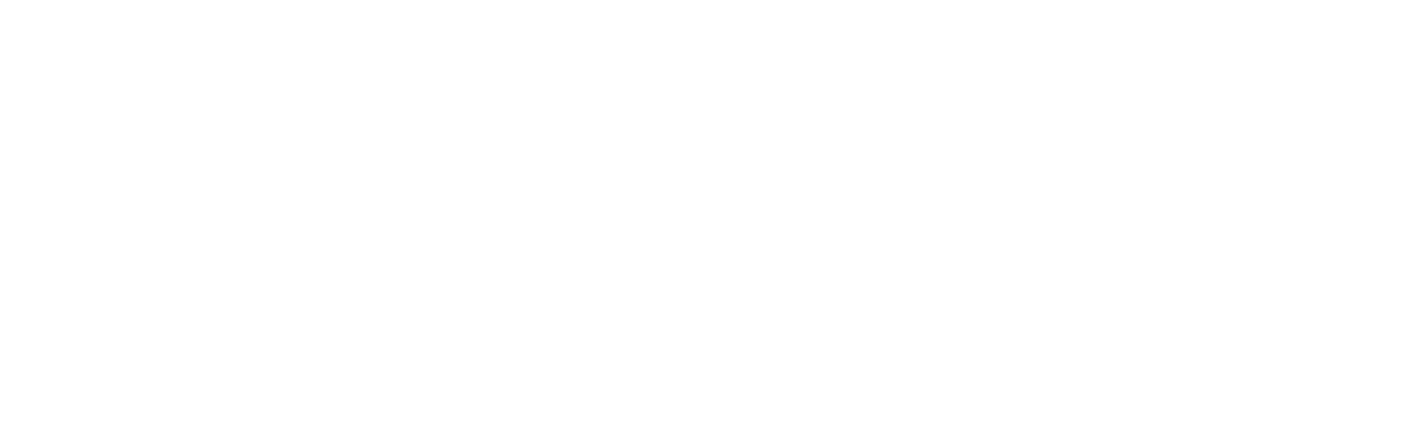 National Medical Care Company logo large for dark backgrounds (transparent PNG)