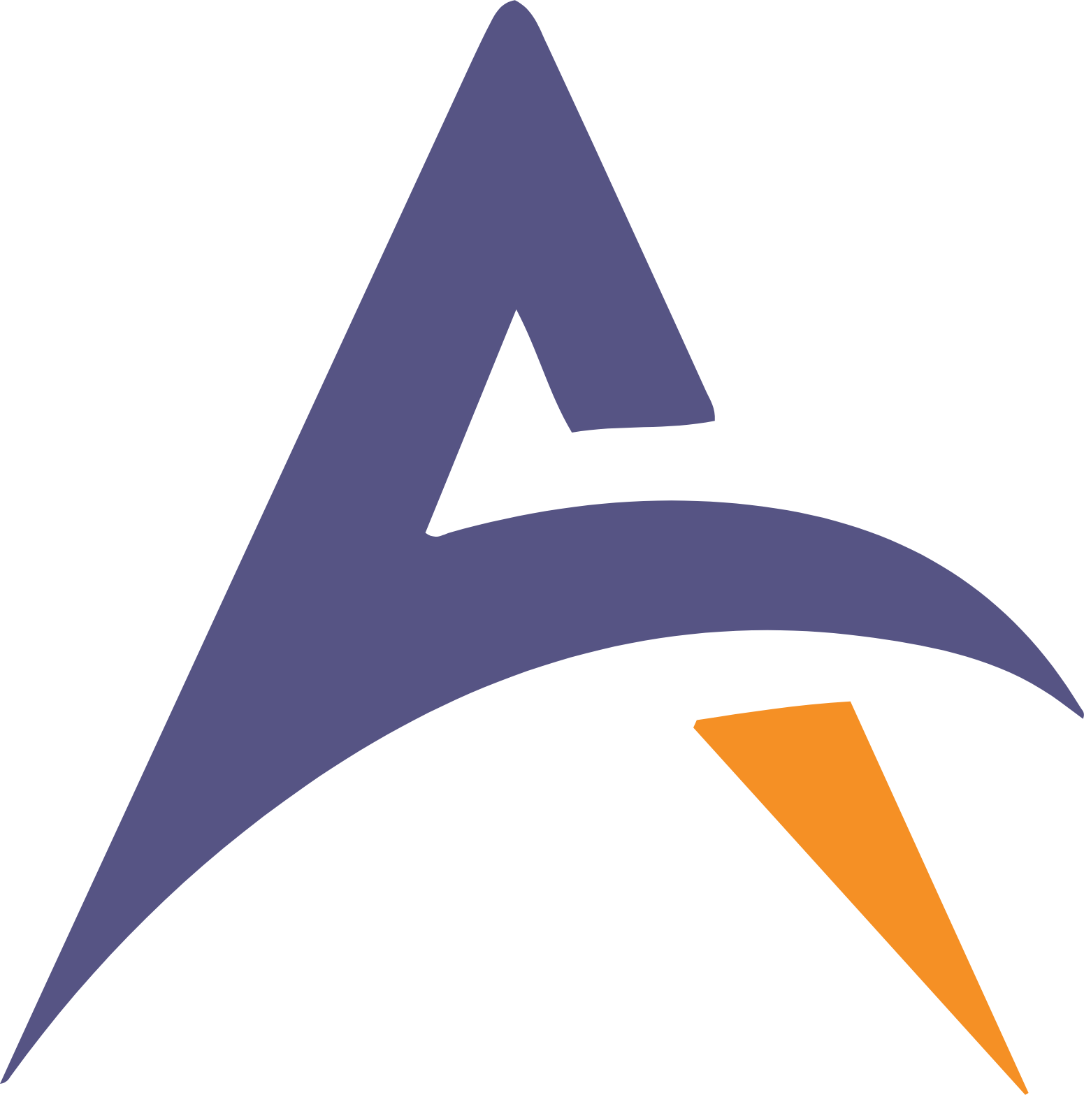 Anaam International logo (transparent PNG)