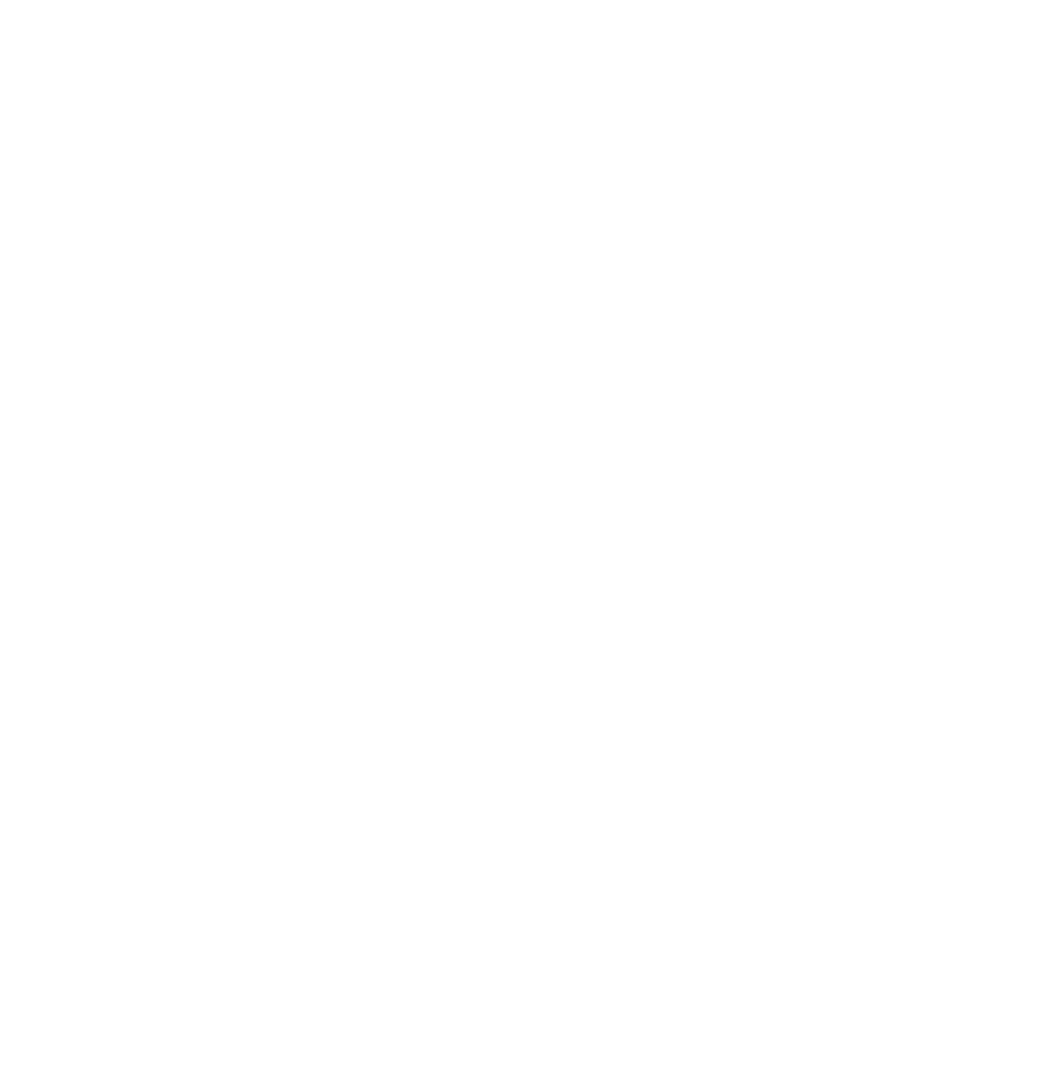Anaam International logo on a dark background (transparent PNG)