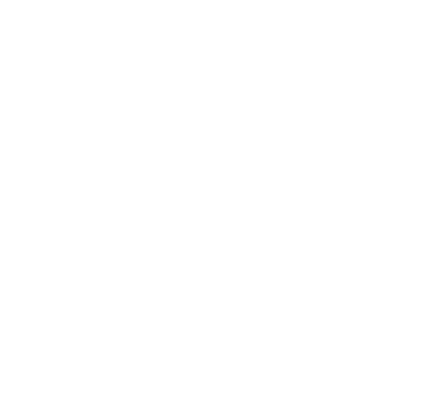 Anaam International logo fulle size on a dark background (transparent PNG)