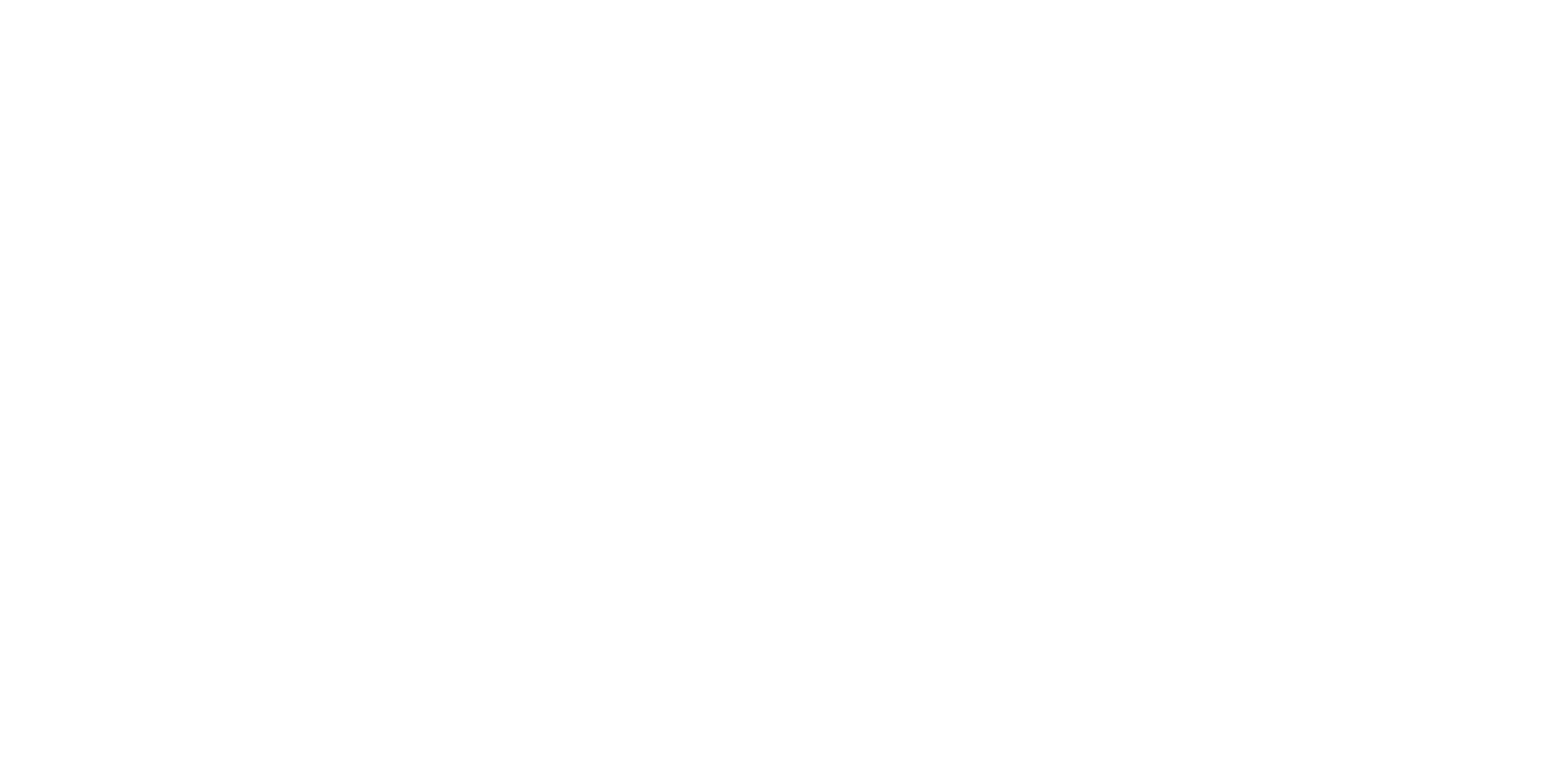 Blue Zones Holdings logo pour fonds sombres (PNG transparent)