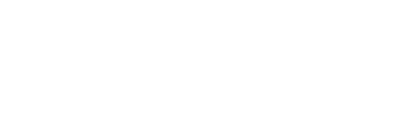 Nice One Beauty Digital Marketing Company logo fulle size on a dark background (transparent PNG)