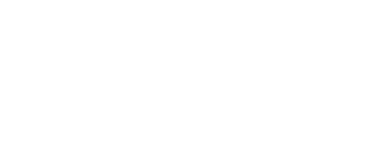 Flynas Company logo fulle size on a dark background (transparent PNG)