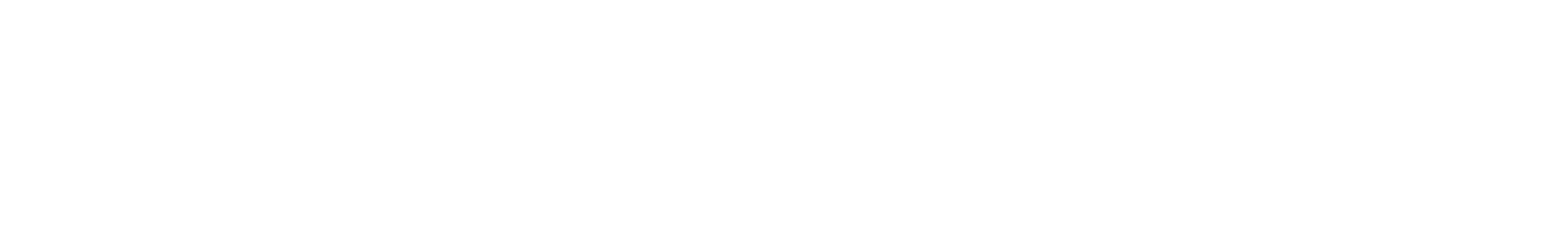 Serverworks logo large for dark backgrounds (transparent PNG)