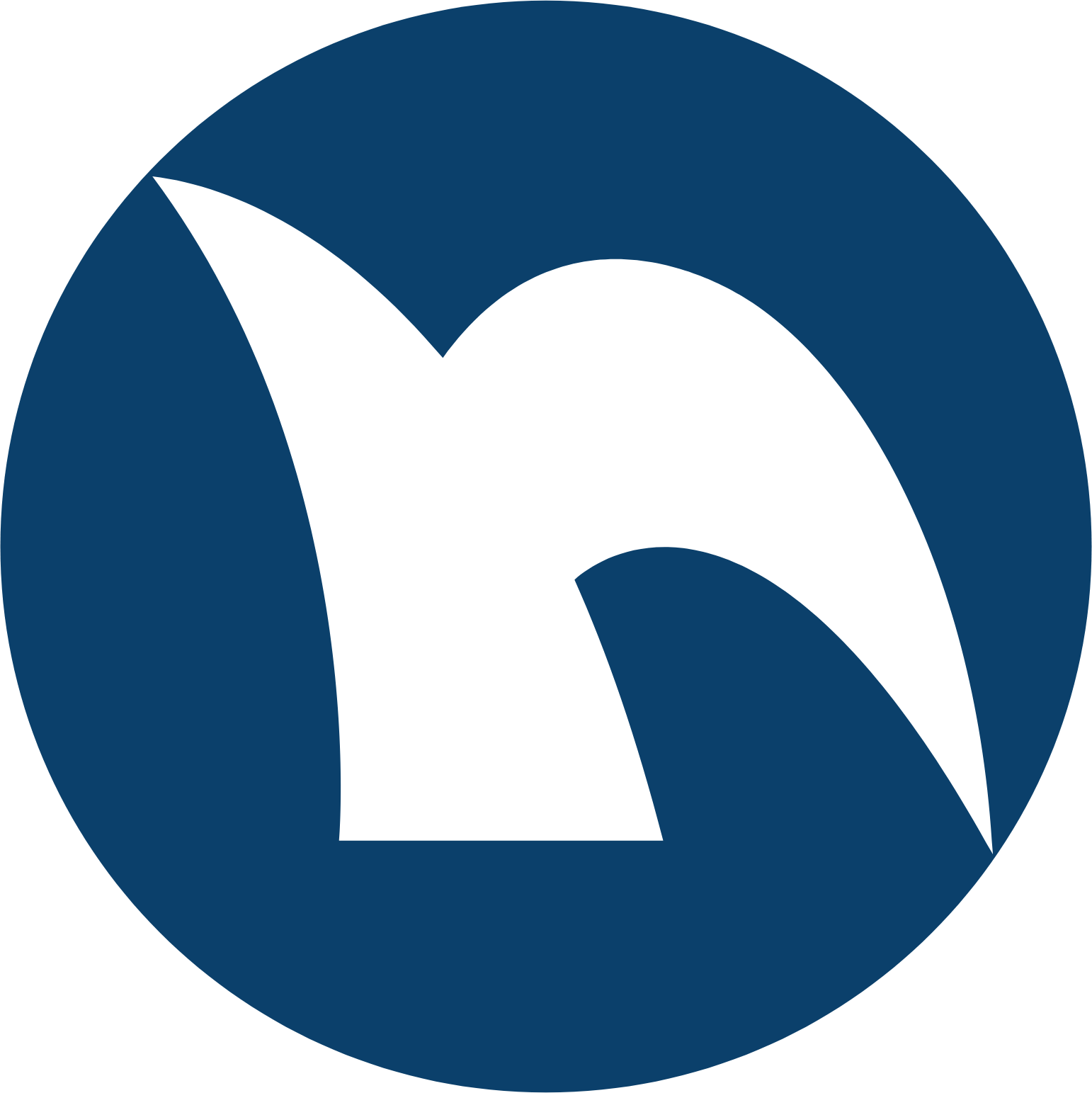 Nippon Shinyaku Logo (transparentes PNG)