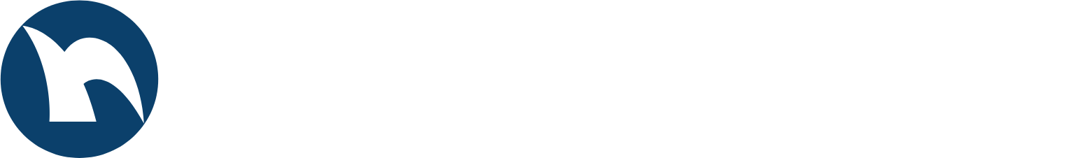 Nippon Shinyaku logo fulle size on a dark background (transparent PNG)