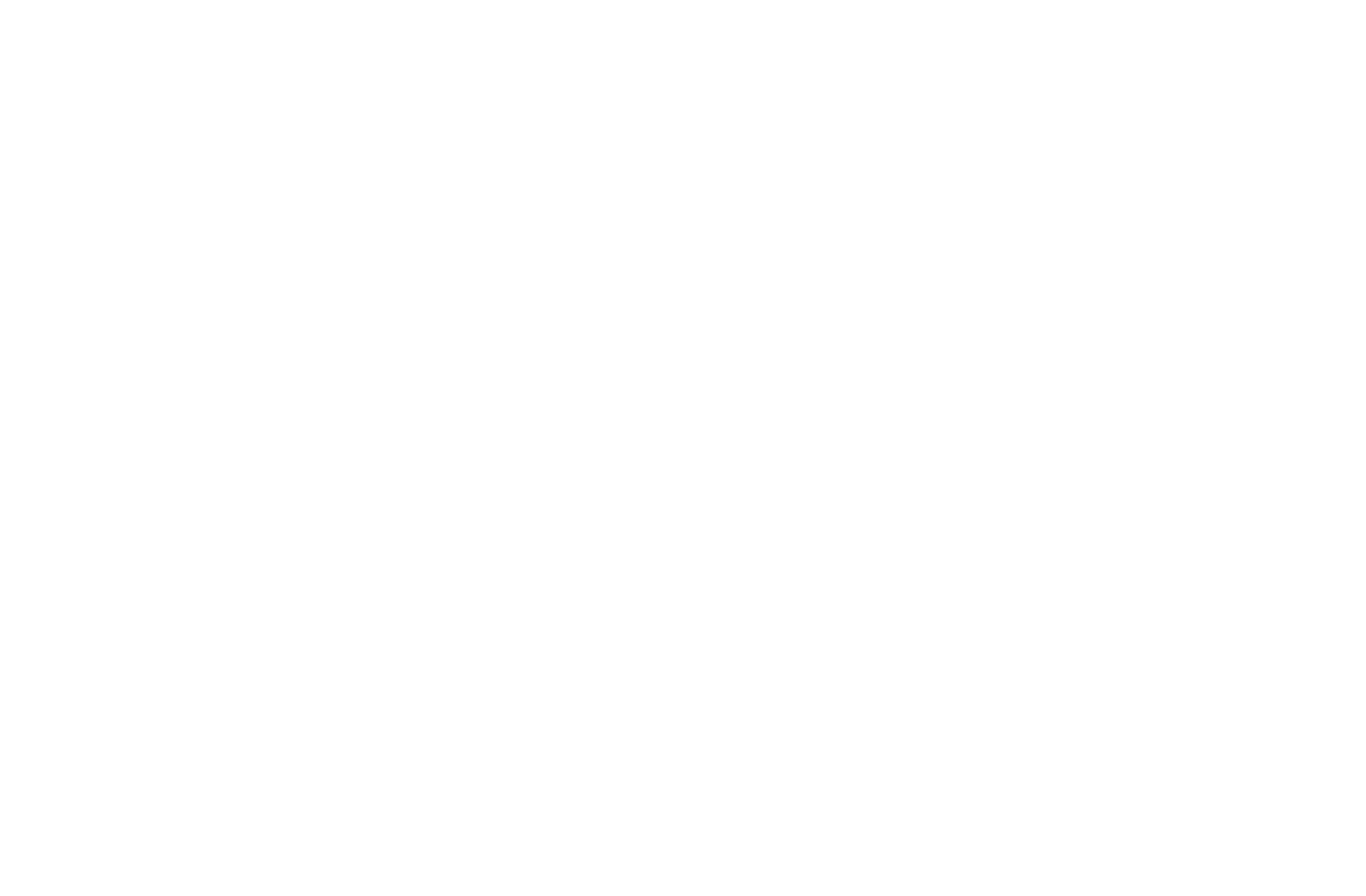 Shiseido Logo für dunkle Hintergründe (transparentes PNG)