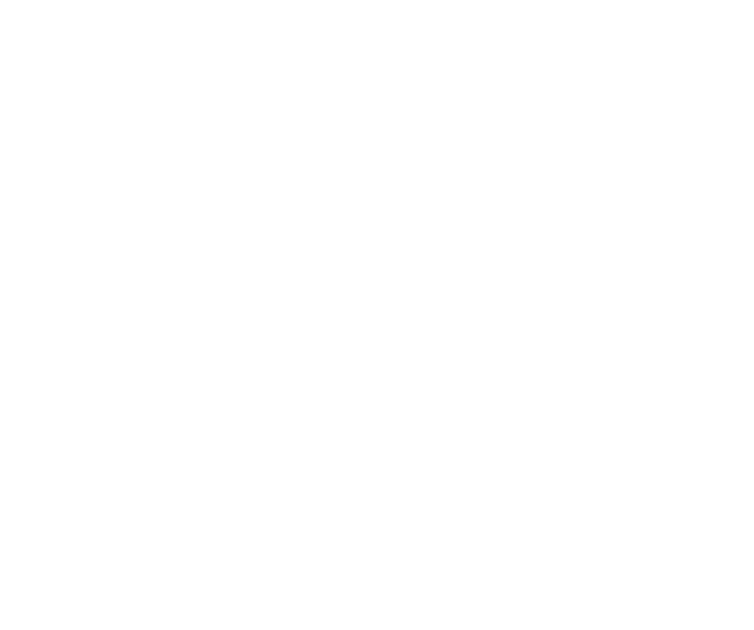 Niterra logo pour fonds sombres (PNG transparent)