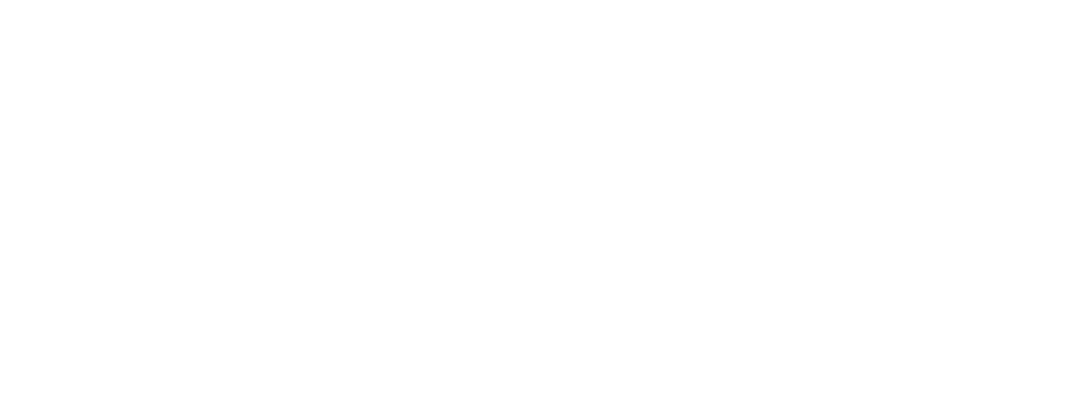 Niterra logo grand pour les fonds sombres (PNG transparent)