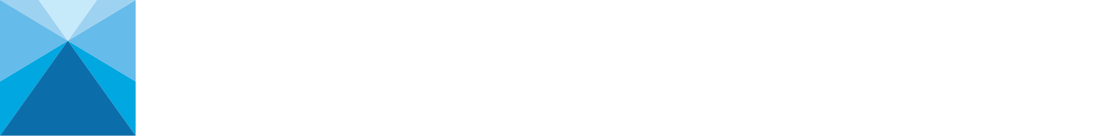 Nippon Steel
 logo large for dark backgrounds (transparent PNG)