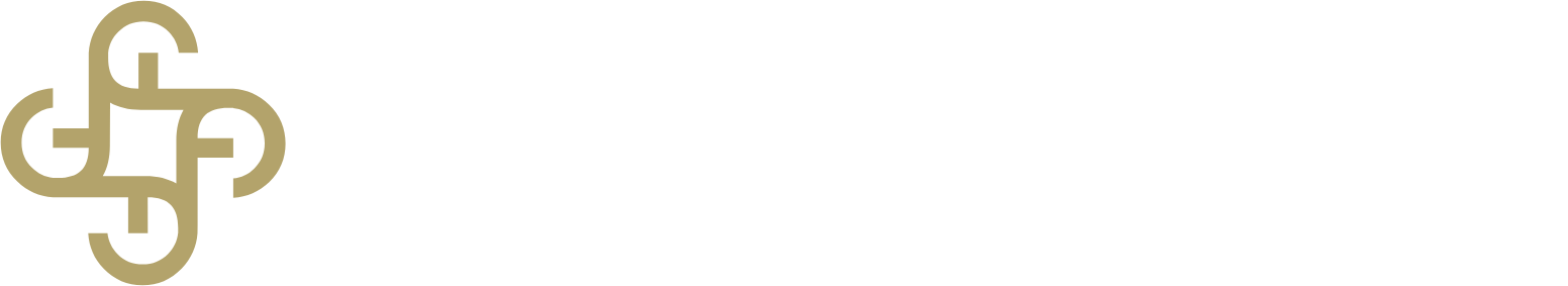 Chailease Holding logo grand pour les fonds sombres (PNG transparent)