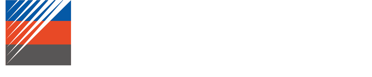 Zhejiang Zheneng Electric logo fulle size on a dark background (transparent PNG)