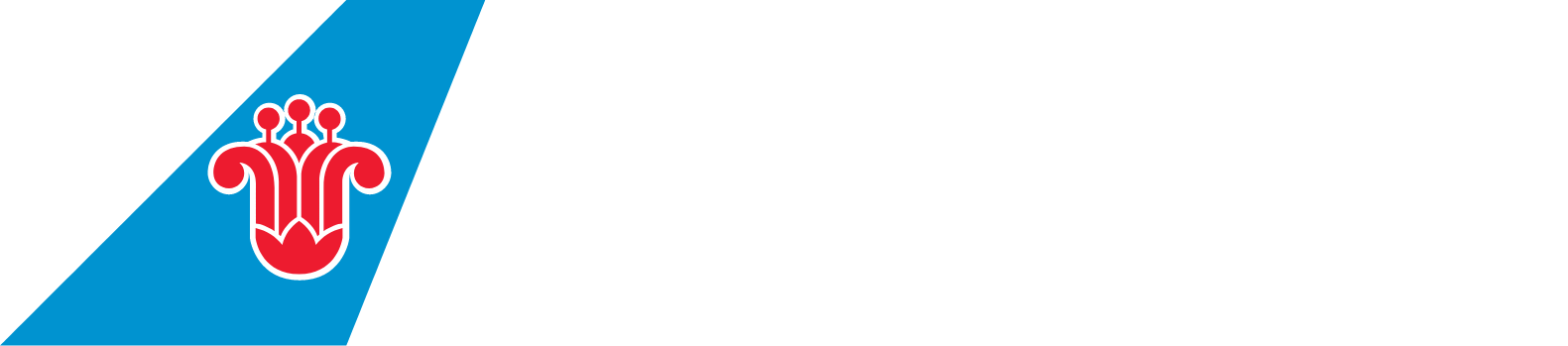 China Southern Airlines
 logo grand pour les fonds sombres (PNG transparent)