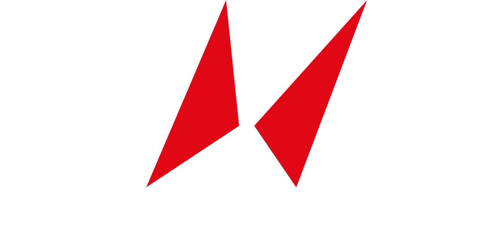 HENGTONG Optic-Electric logo on a dark background (transparent PNG)