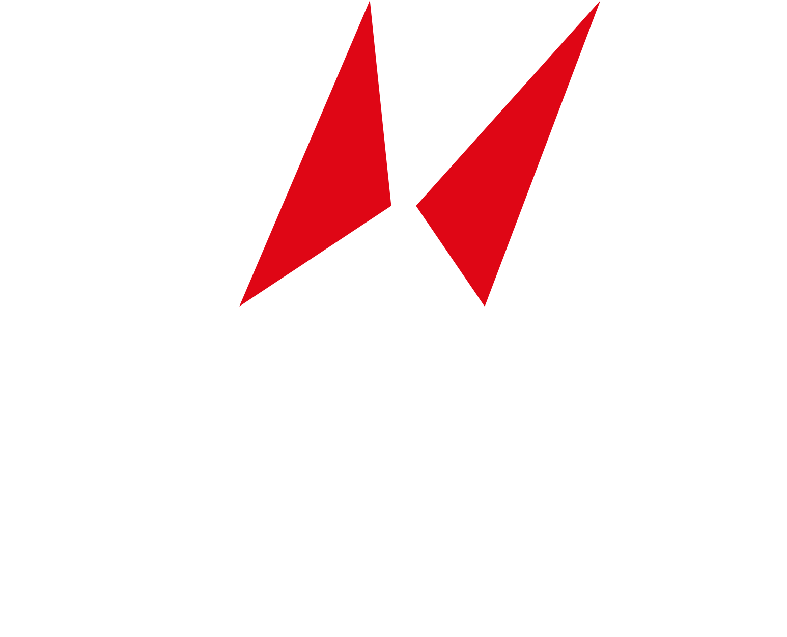 HENGTONG Optic-Electric logo fulle size on a dark background (transparent PNG)