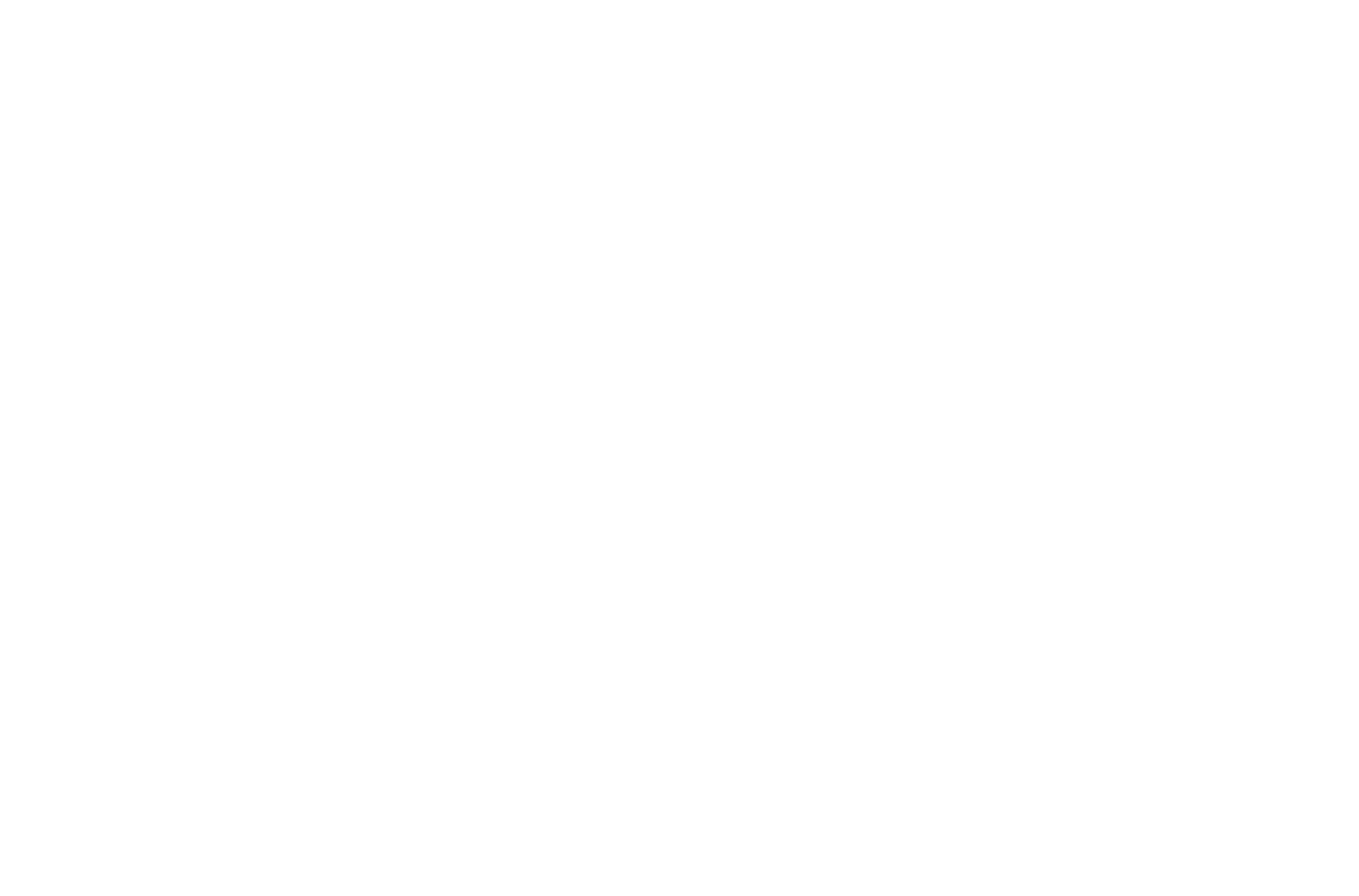 Yonyou logo pour fonds sombres (PNG transparent)