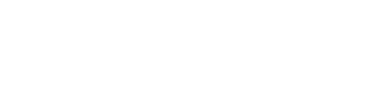 New China Life Insurance
 logo fulle size on a dark background (transparent PNG)