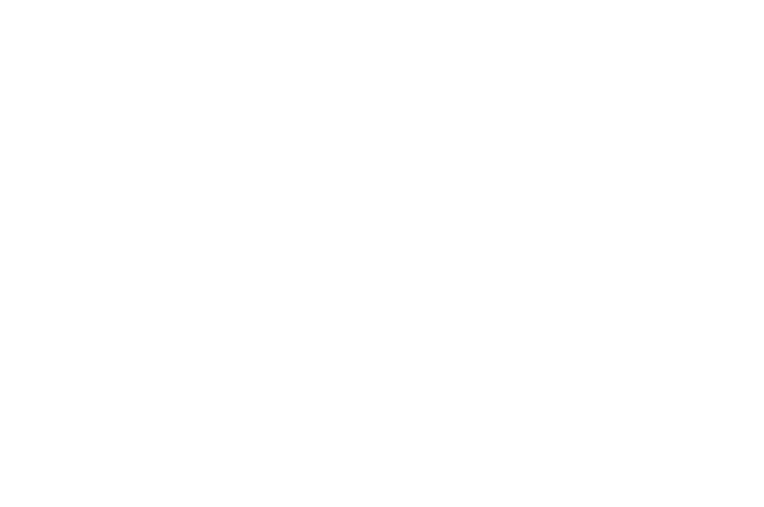 Toyota Industries
 Logo für dunkle Hintergründe (transparentes PNG)
