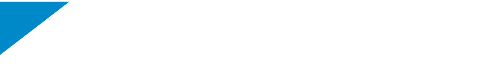 Tadano Logo groß für dunkle Hintergründe (transparentes PNG)