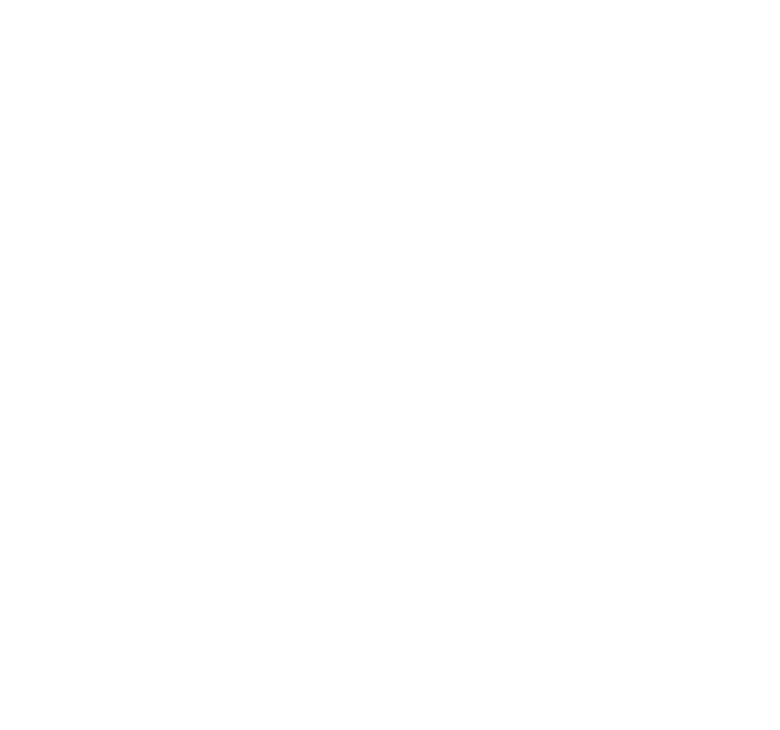 Bora Pharmaceuticals logo on a dark background (transparent PNG)