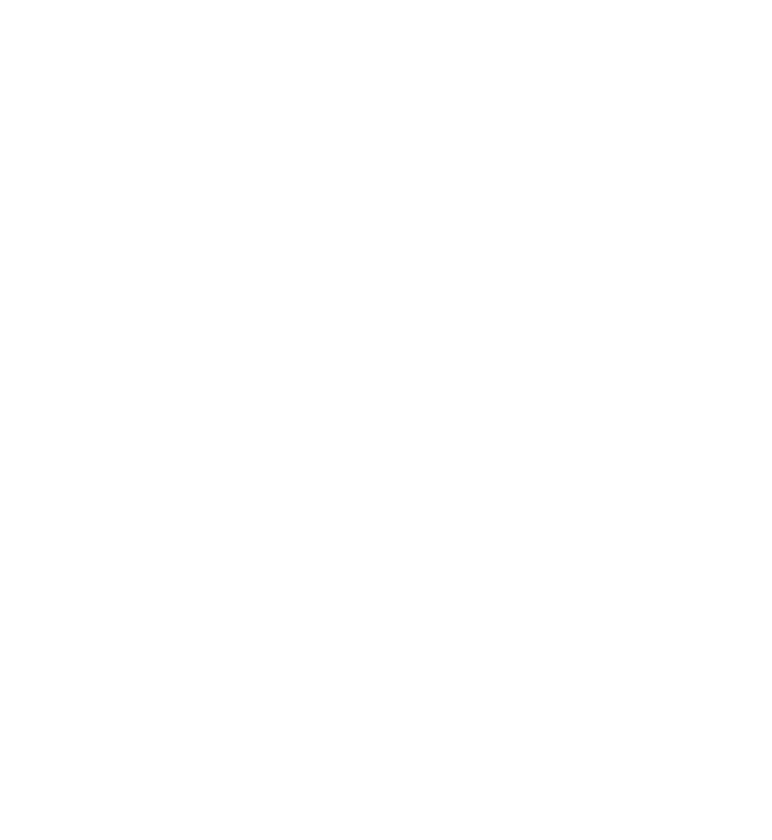 Shenzhen Transsion Holdings logo on a dark background (transparent PNG)