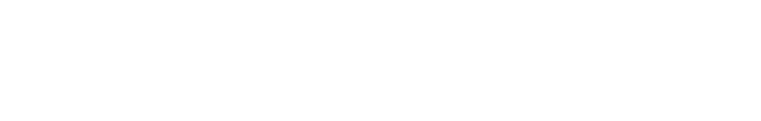 Shenzhen Transsion Holdings logo fulle size on a dark background (transparent PNG)